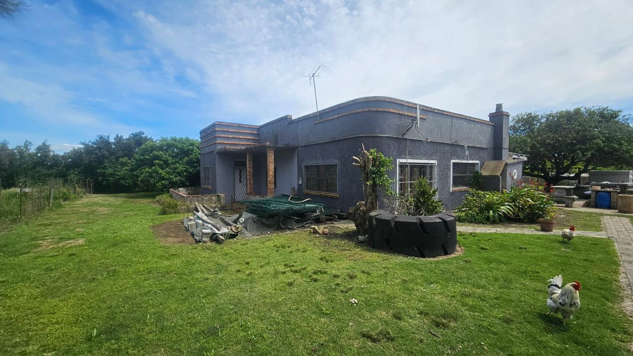 Photo 16 of 36