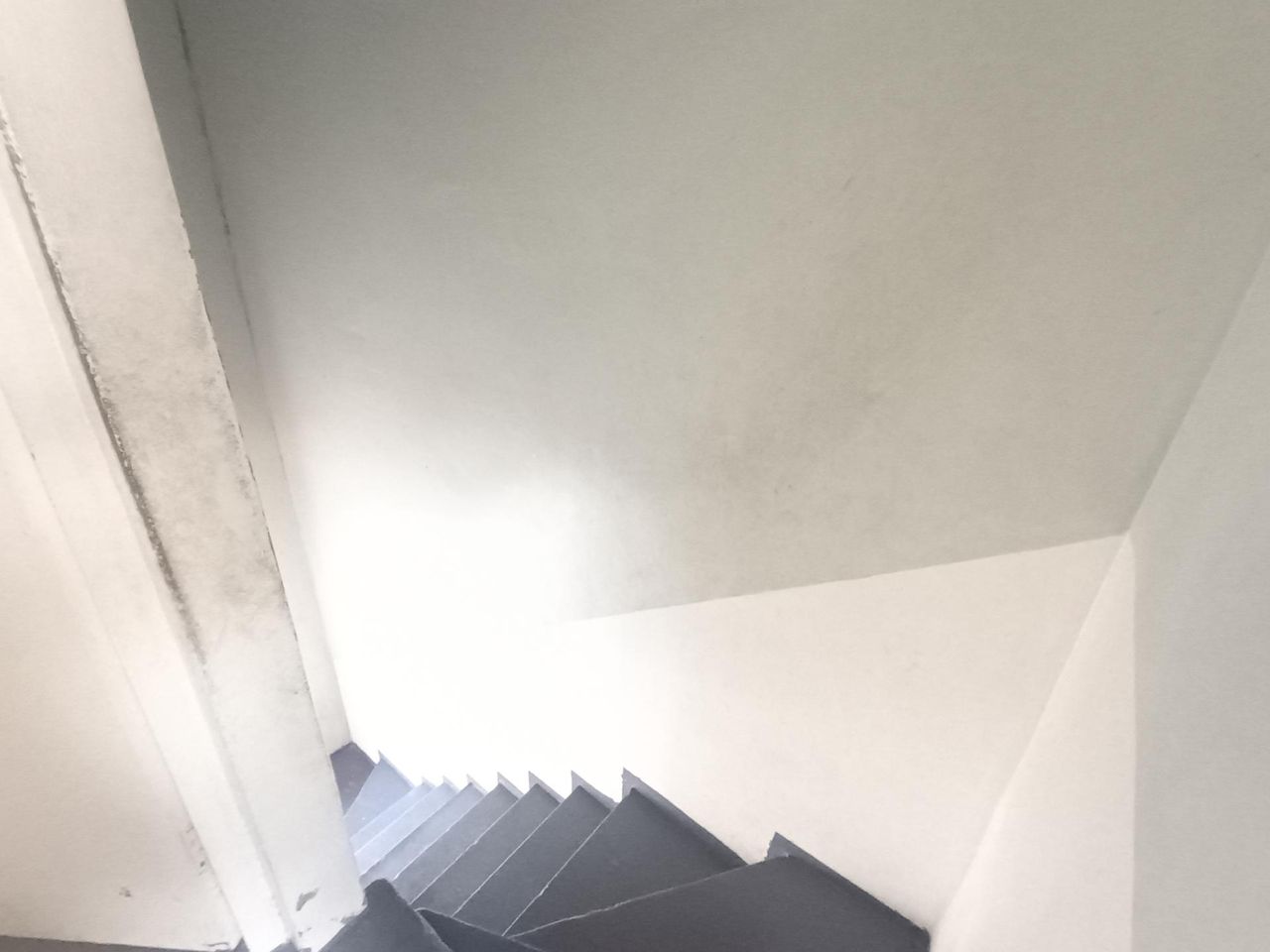 Photo 12 of 20