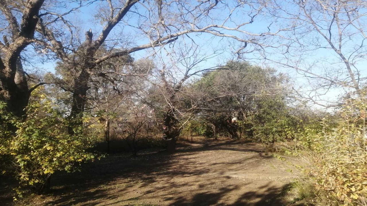 Photo 5 of 16