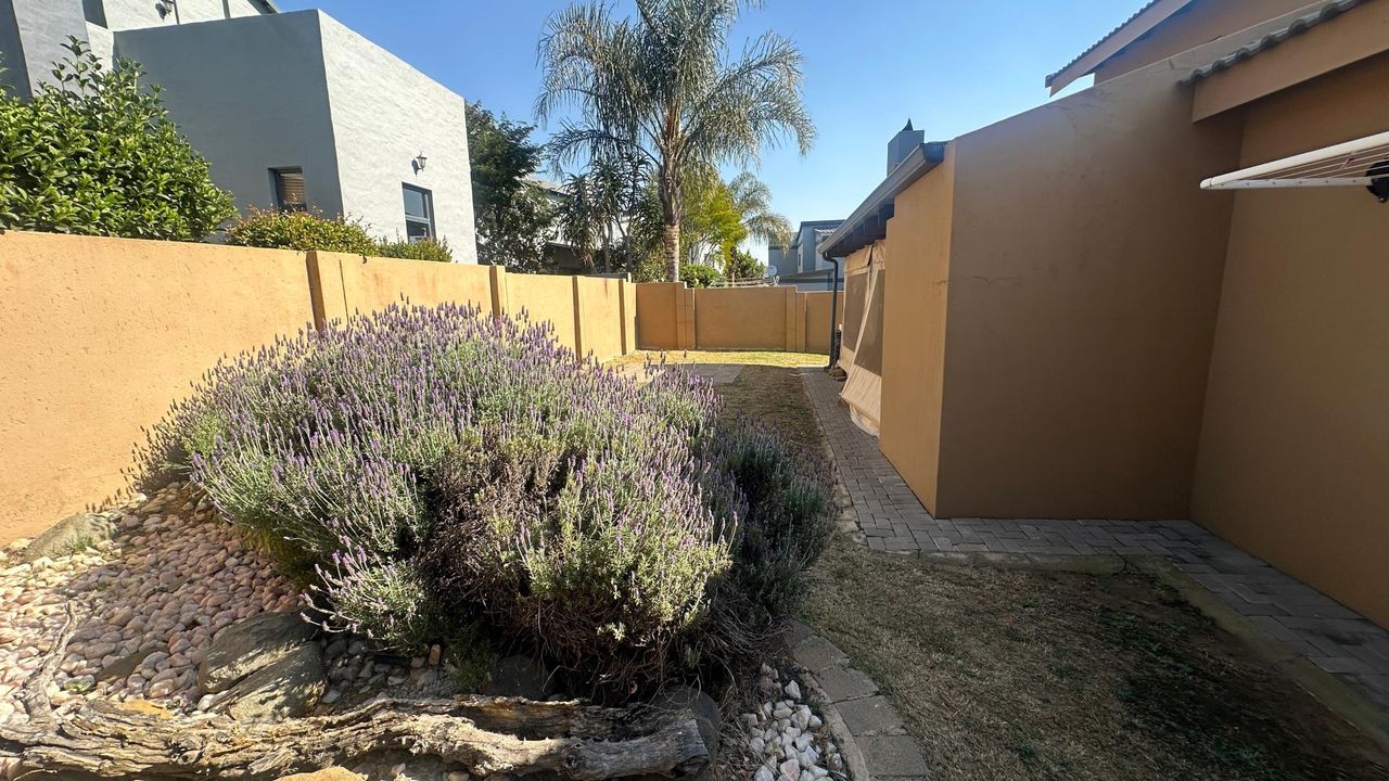 Photo 14 of 29