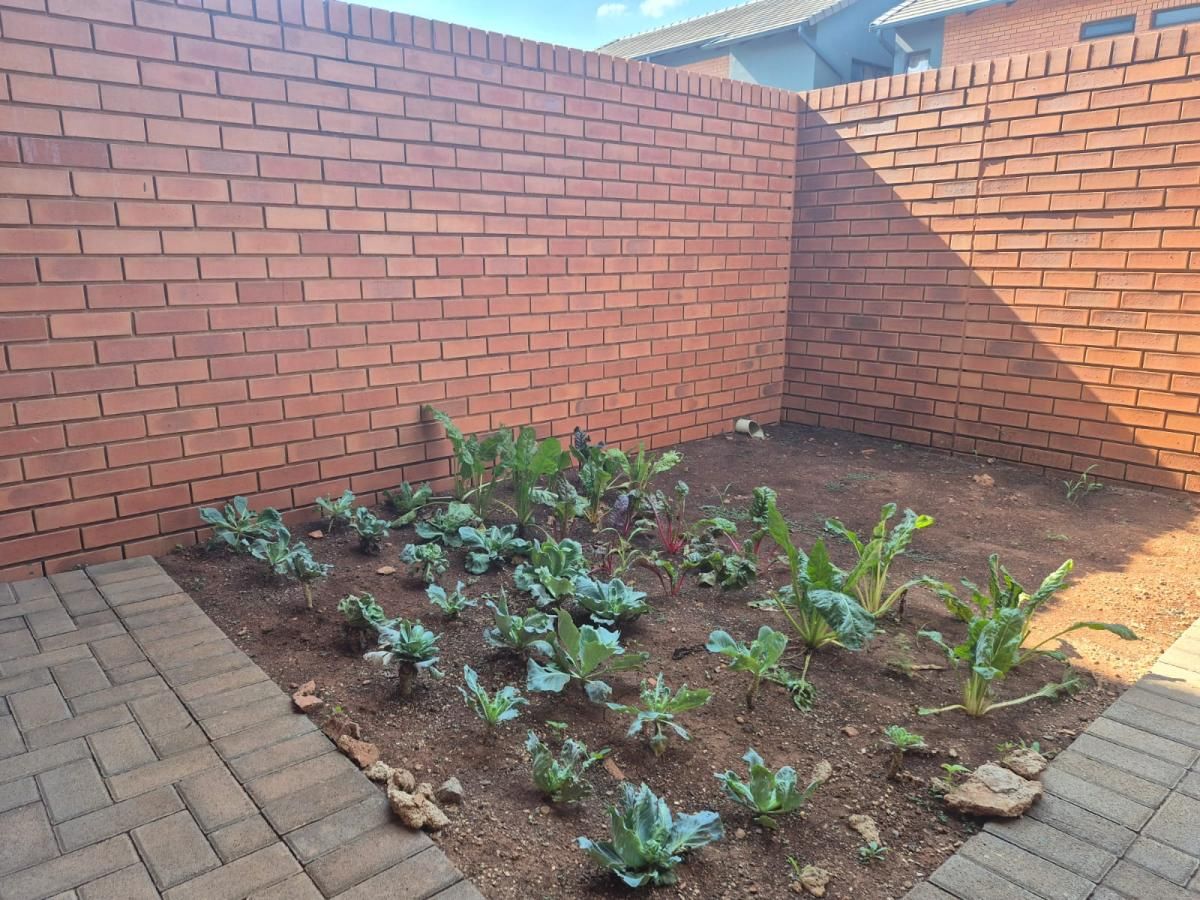 Photo 2 of 20