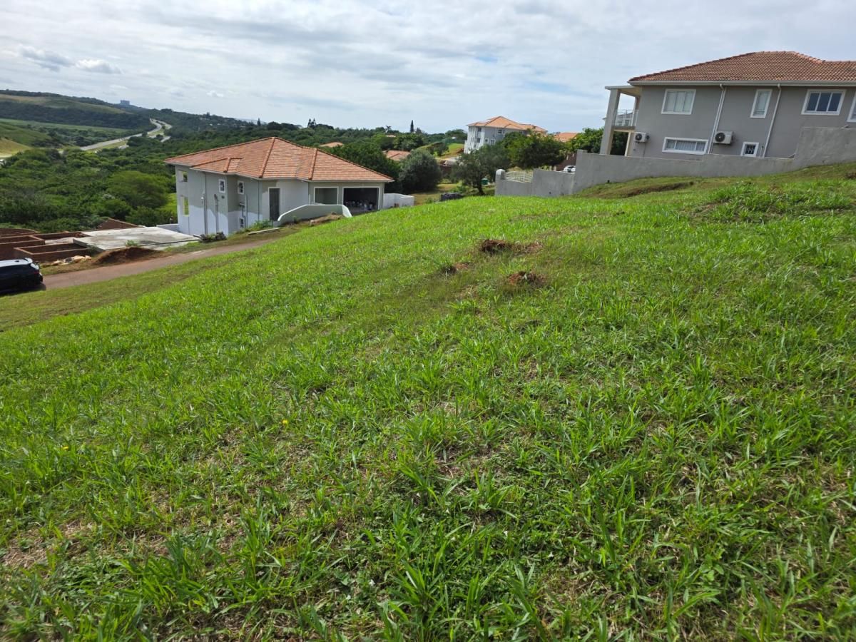 Photo 6 of 12