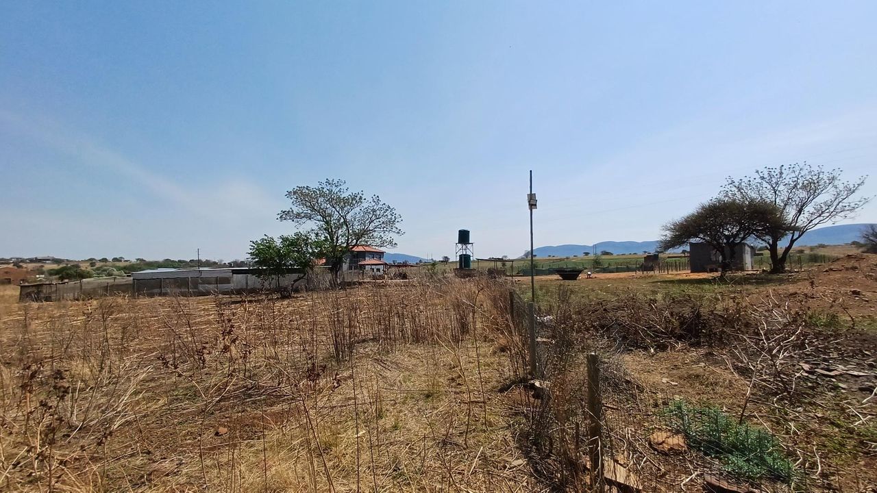 Photo 44 of 46