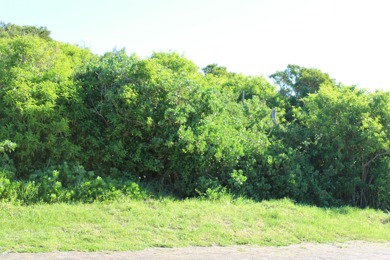 Photo 9 of 9