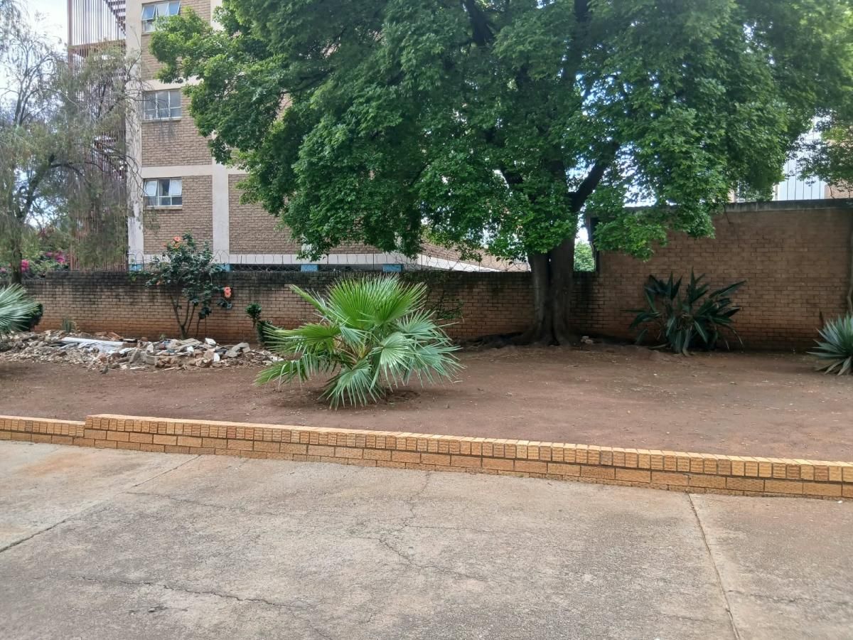 Photo 2 of 19