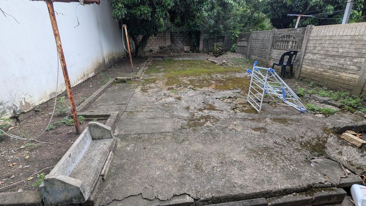Photo 6 of 12