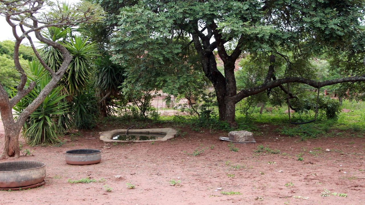 Photo 22 of 29
