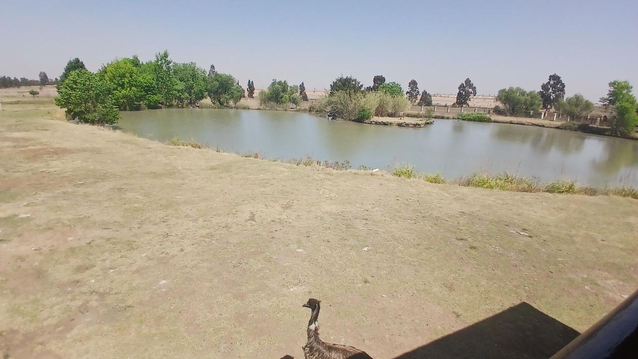 Photo 4 of 14