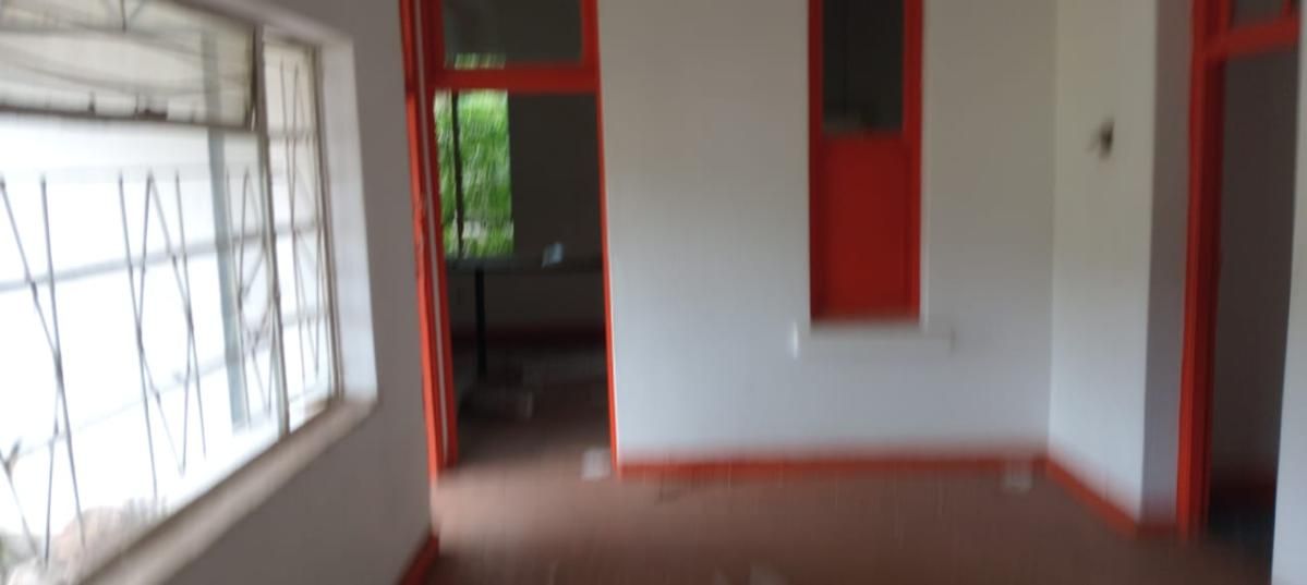 Photo 8 of 19