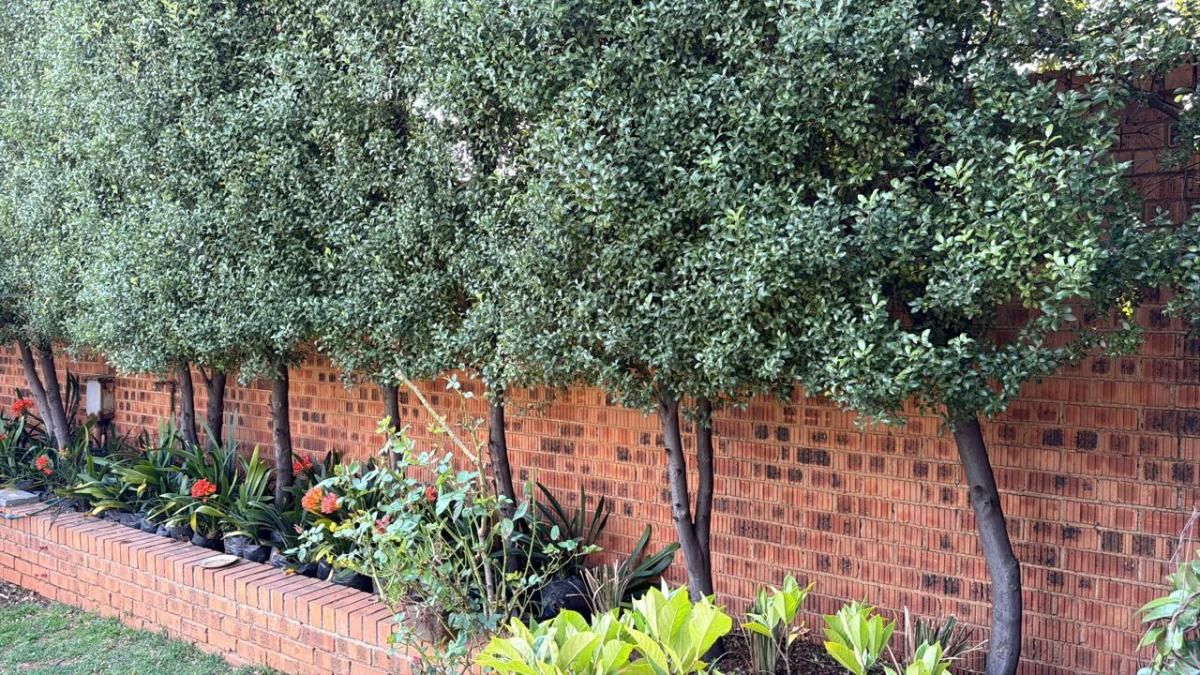 Photo of 2 Bedroom house for sale in Kanonkop, Middelburg