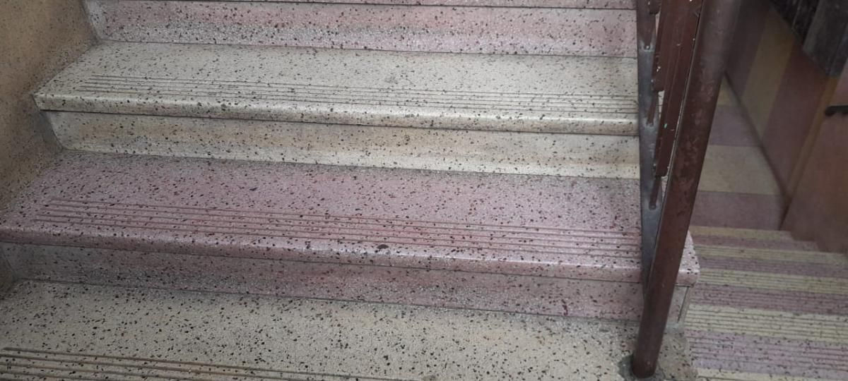 Photo 5 of 20