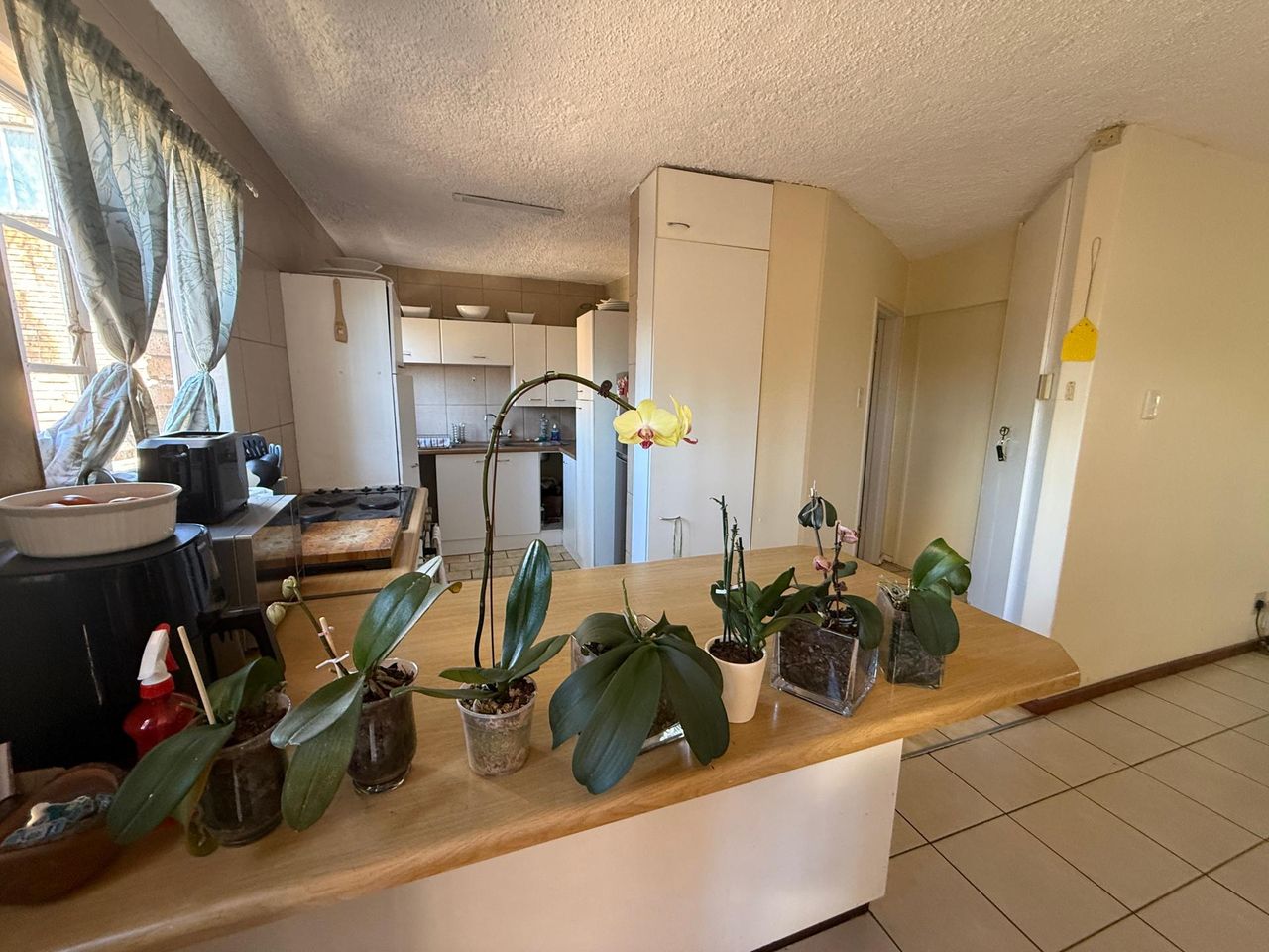 Photo 3 of 23