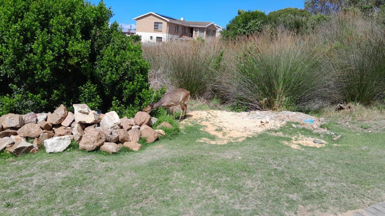 Photo 7 of 13