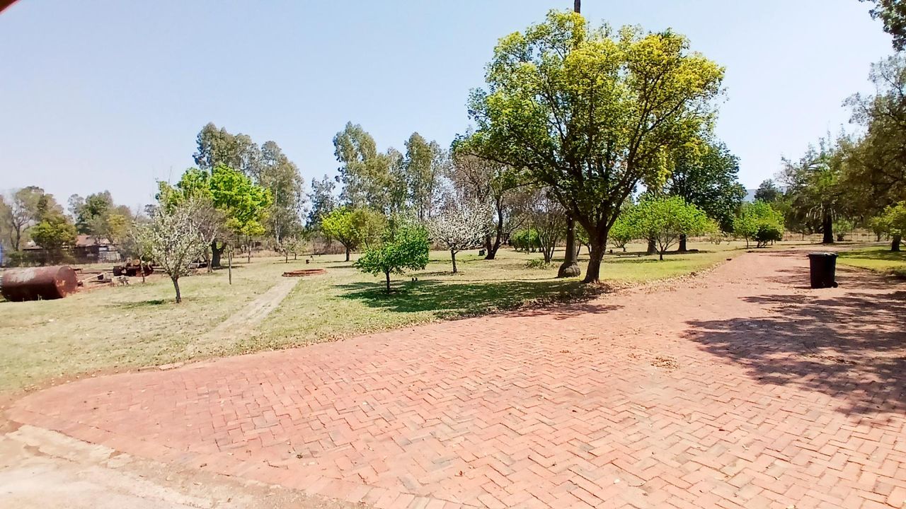 Photo 9 of 28