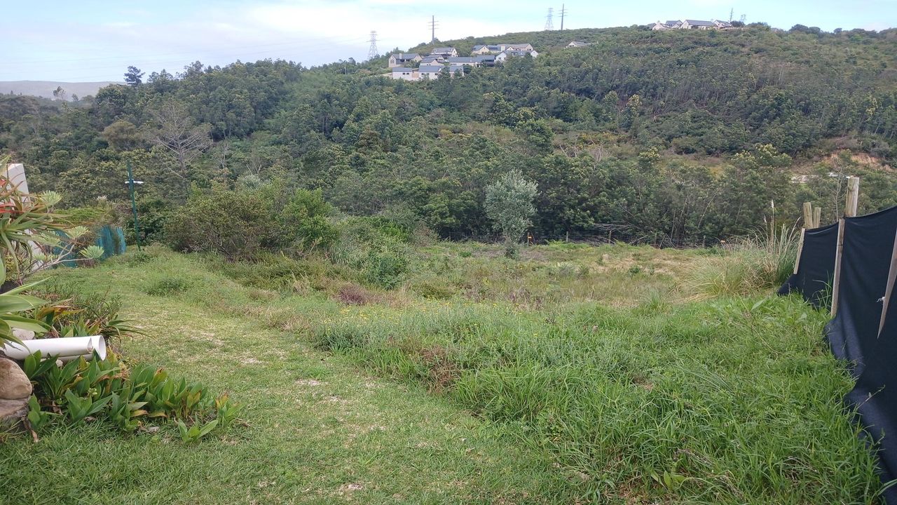 Photo 2 of 11