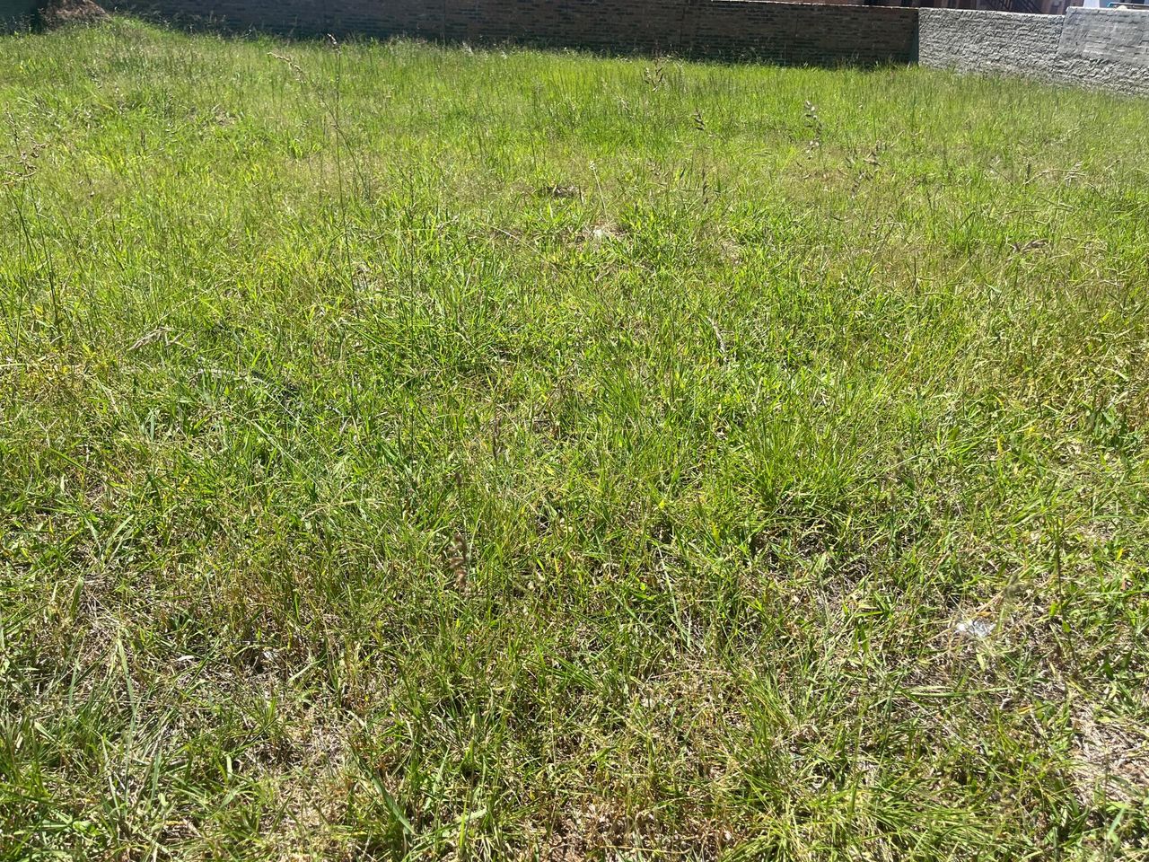 Photo 3 of 4