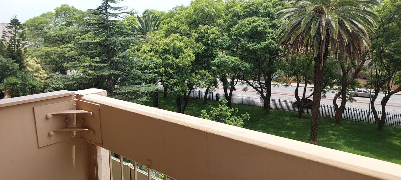 Photo 16 of 24
