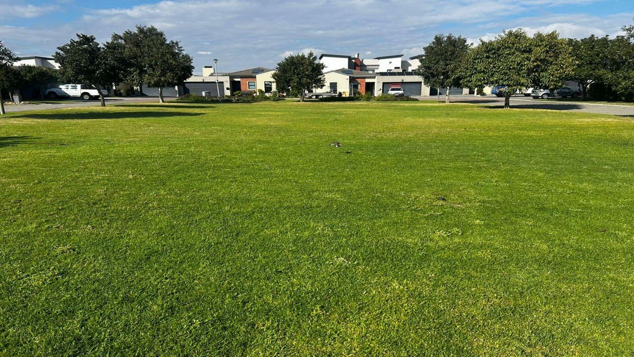 Photo 25 of 25