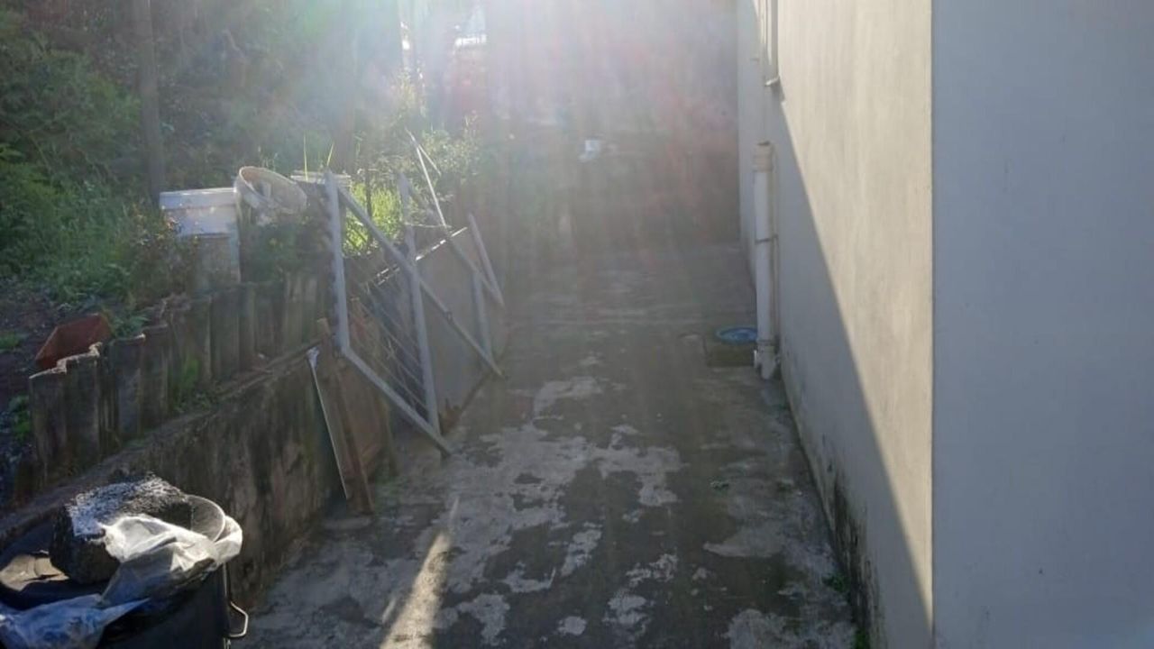 Photo 3 of 13
