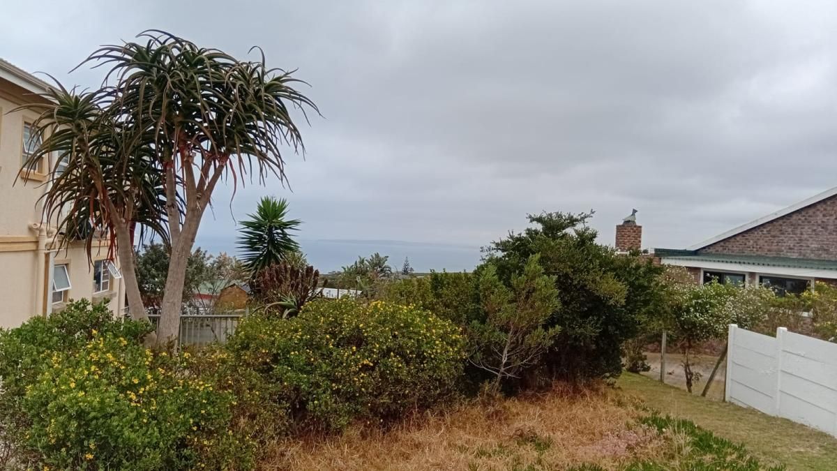Photo 17 of 19