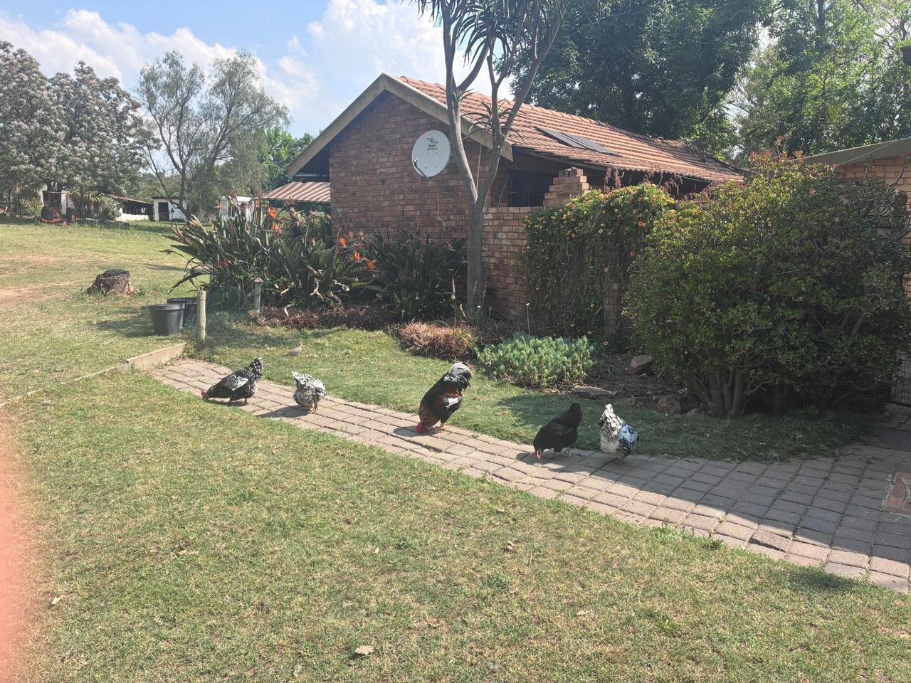 Photo 2 of 15
