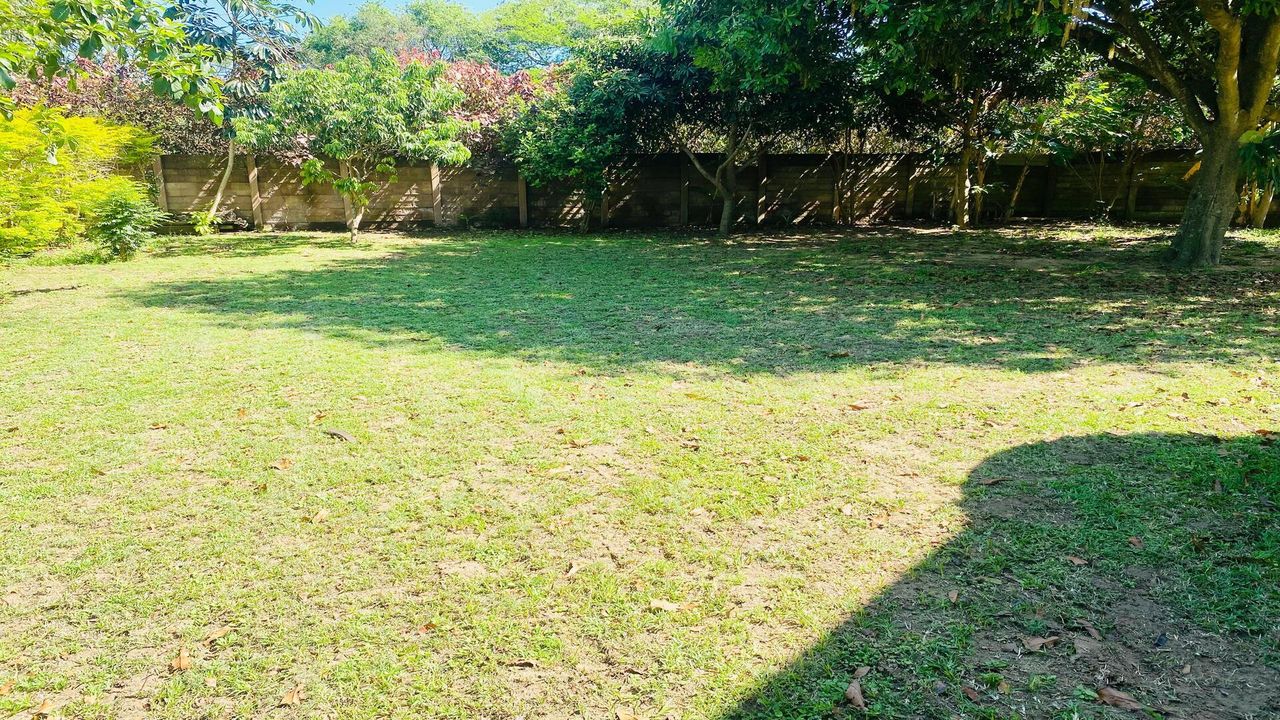 Photo 18 of 20