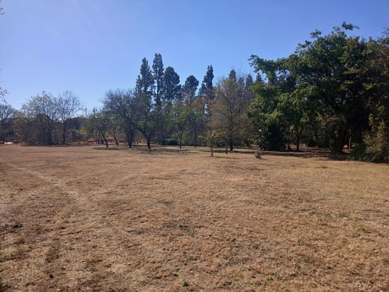 Photo 3 of 13