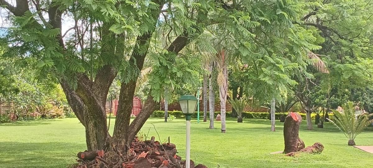 Photo 10 of 55