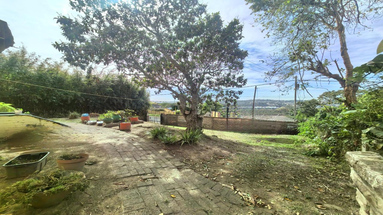 Photo 4 of 17