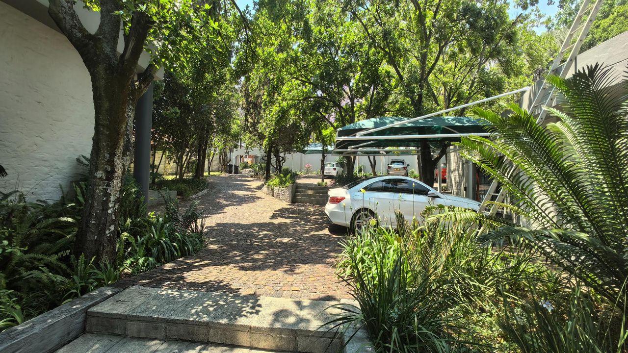 Photo 16 of 26