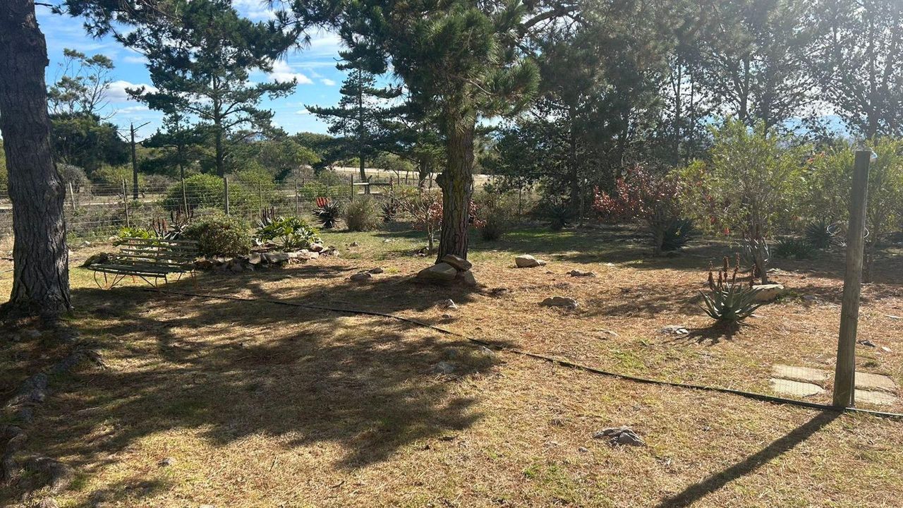Photo 7 of 73