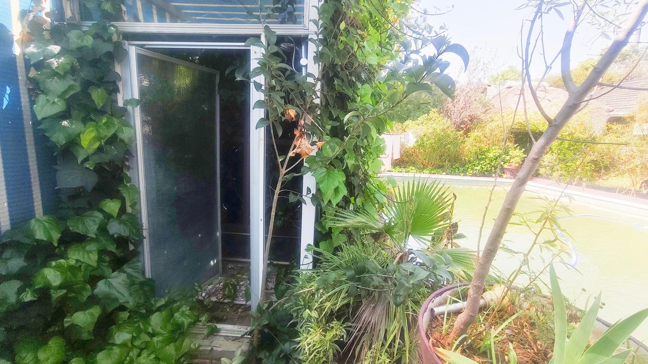Photo 15 of 38