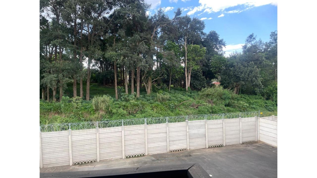 Photo 20 of 20