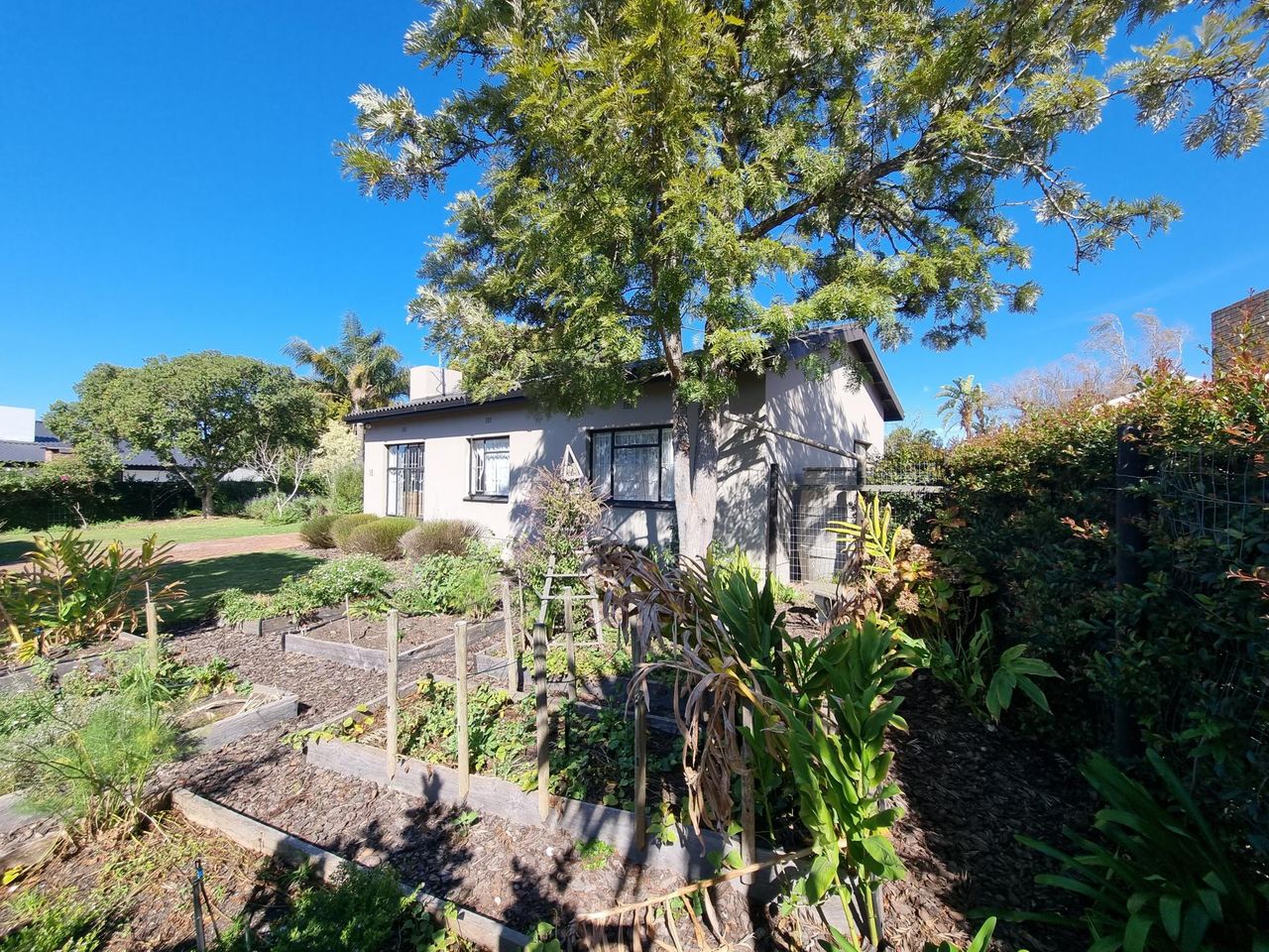 Photo 3 of 33