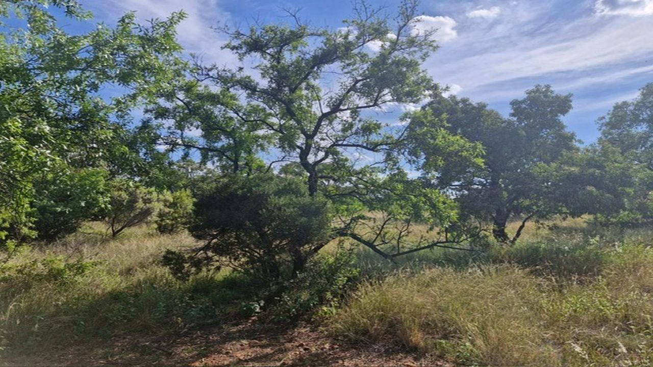 Photo 5 of 20