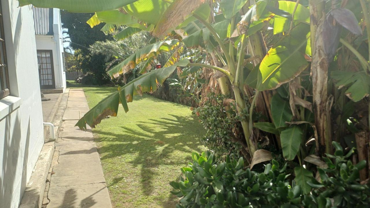 Photo 11 of 55