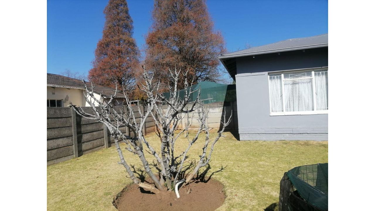Photo 2 of 31