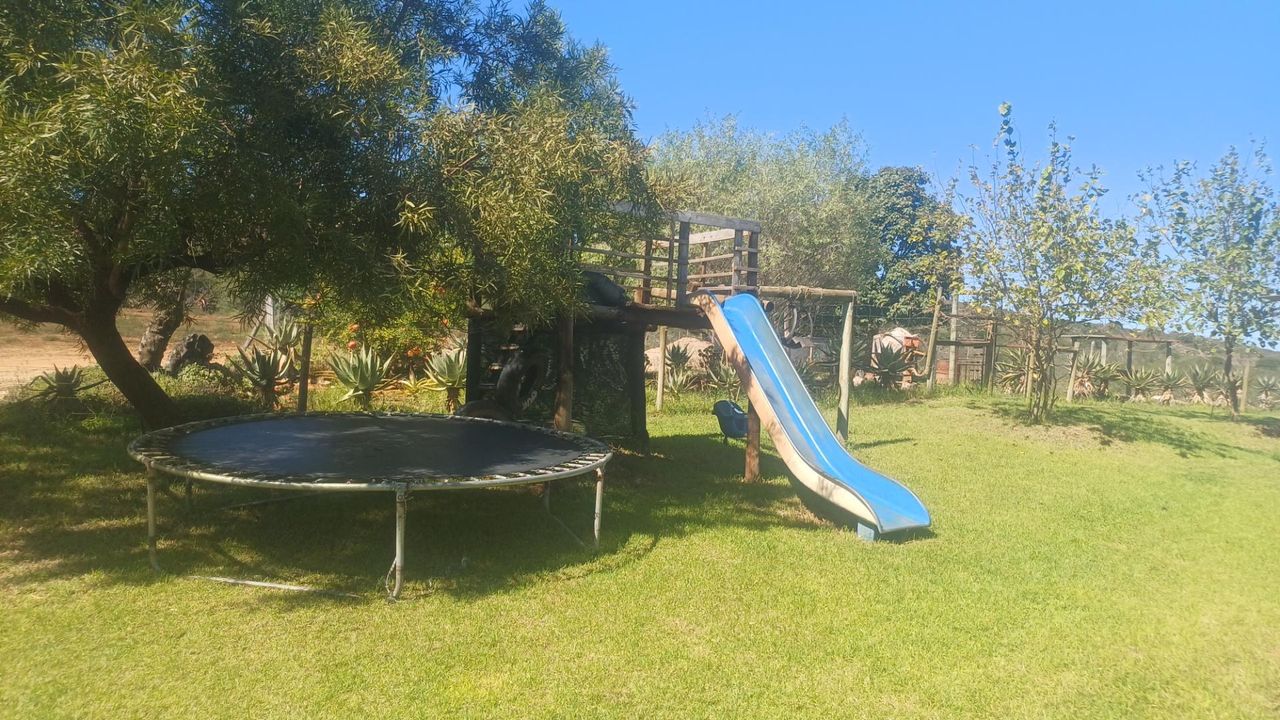 Photo 24 of 29