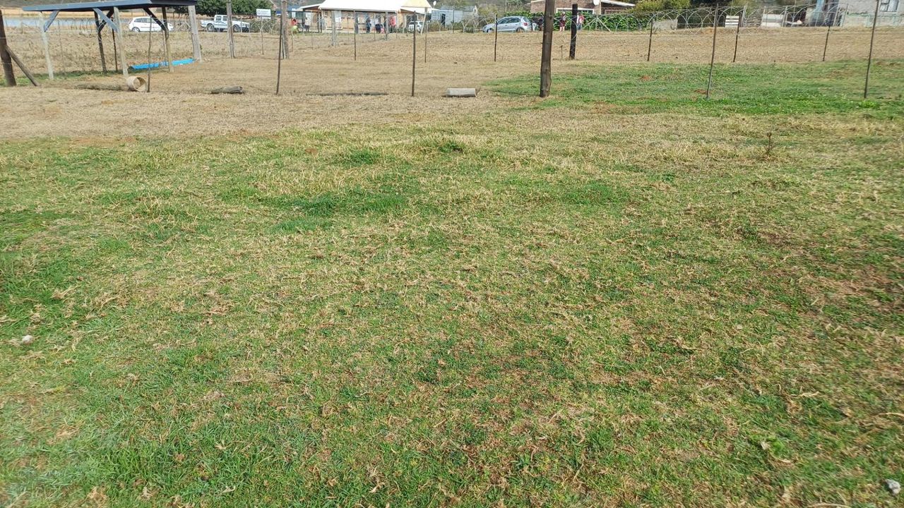 Photo 2 of 9