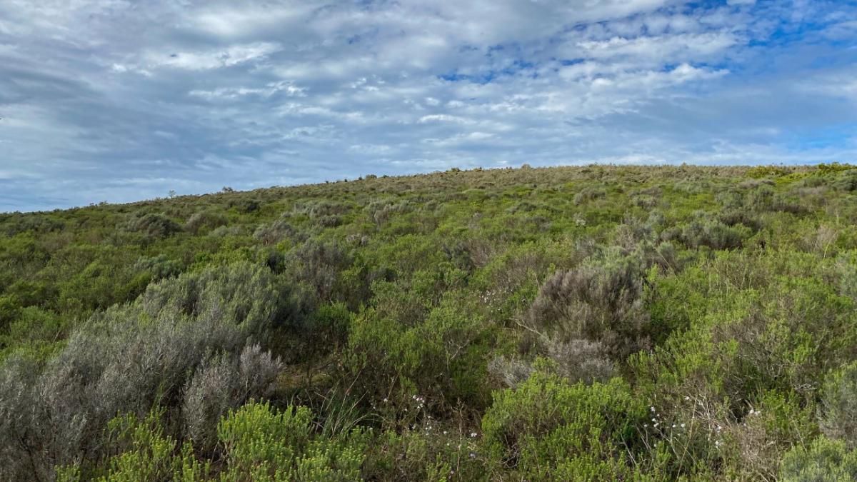Photo 6 of 38