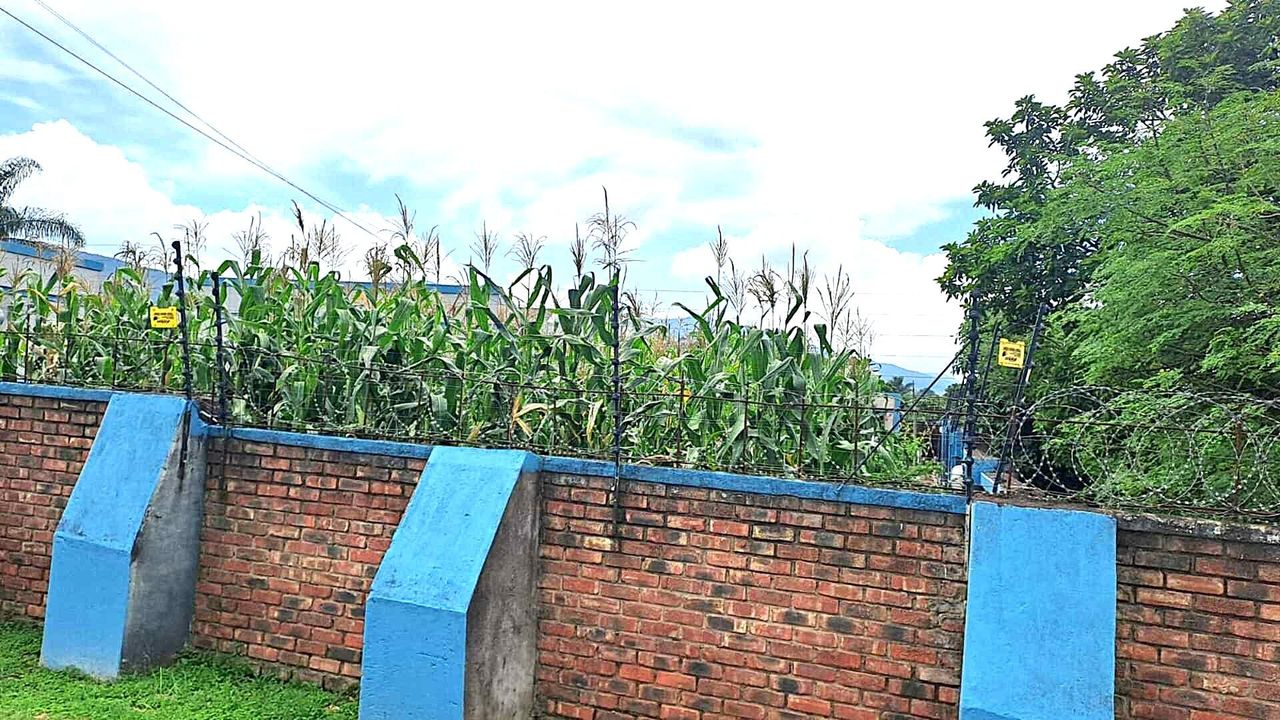 Photo 6 of 12