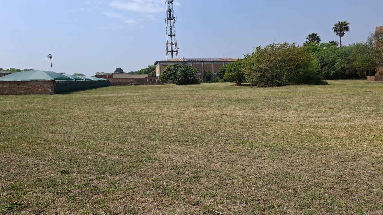 Photo 4 of 14