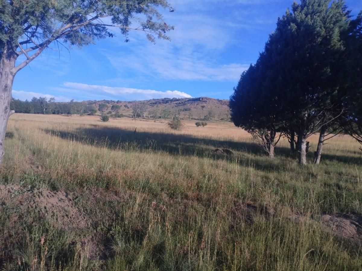 Photo of Vacant Stand for auction in Hobhouse