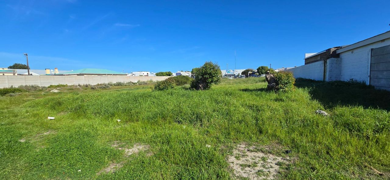 Photo 8 of 12