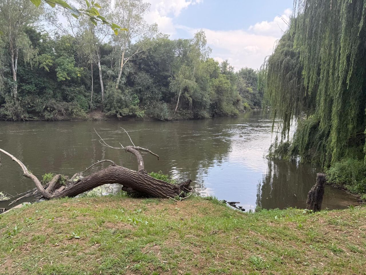 Photo 5 of 41