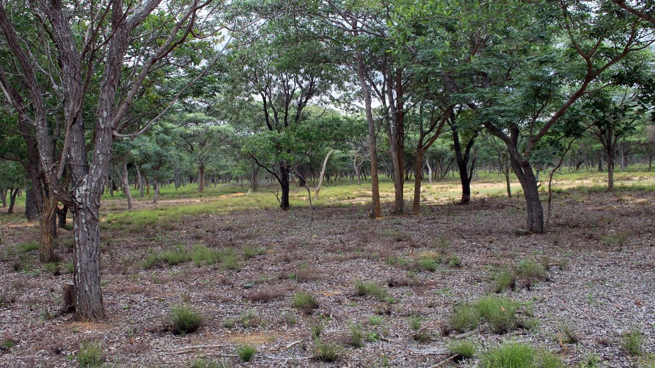 Photo 22 of 40