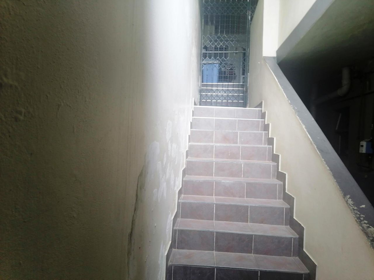 Photo 10 of 22