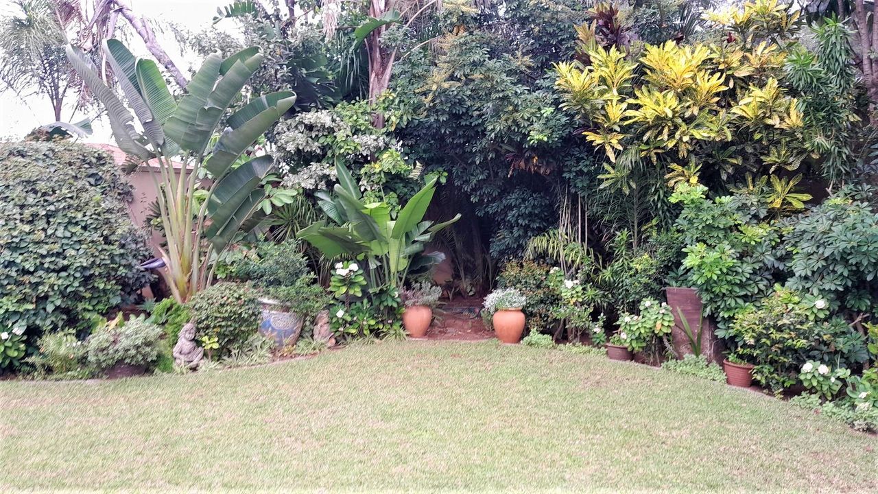 Photo 13 of 54