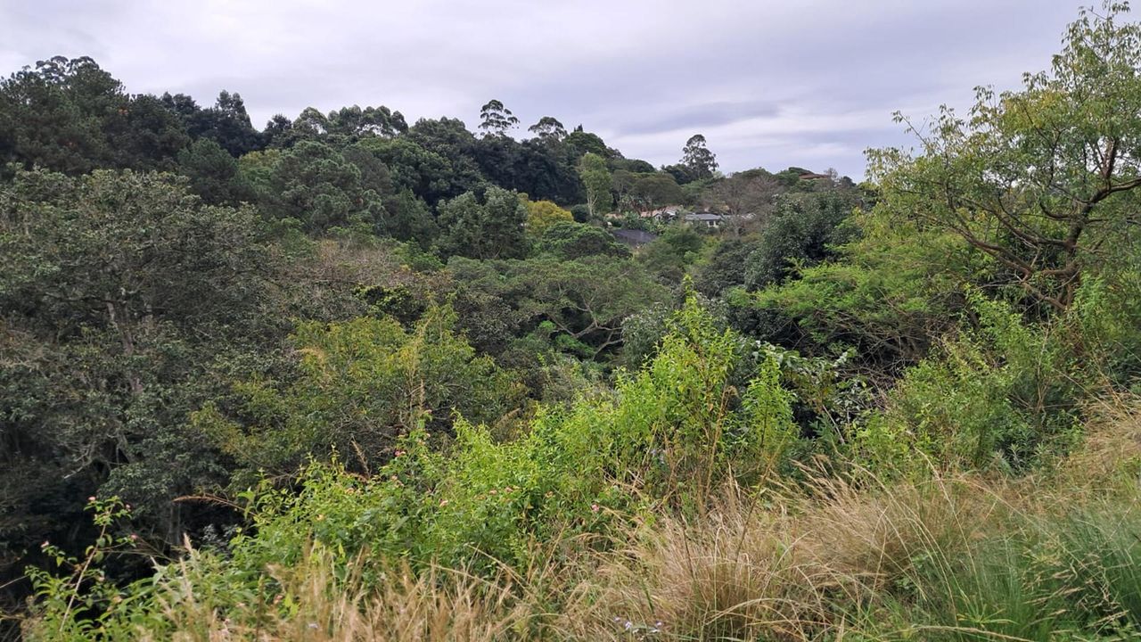 Photo 20 of 21