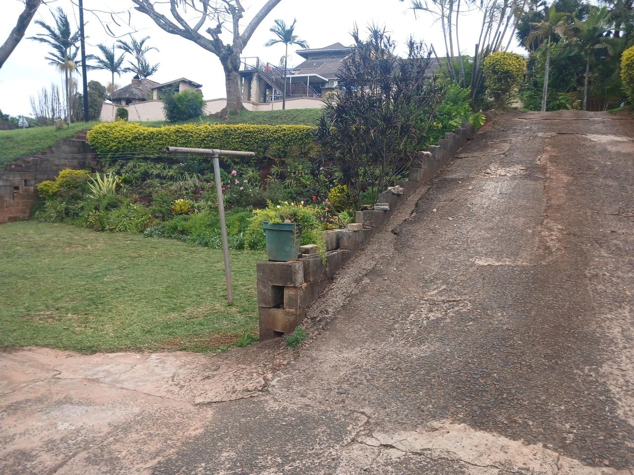 Photo 3 of 14